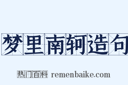 梦里南轲造句是什么意思的图片